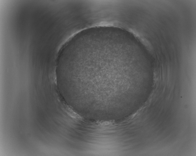 X0000071391262200607071859