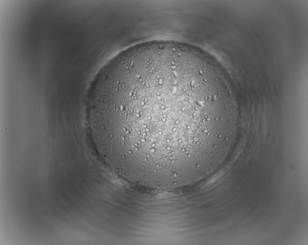 X0000071391263200607071859