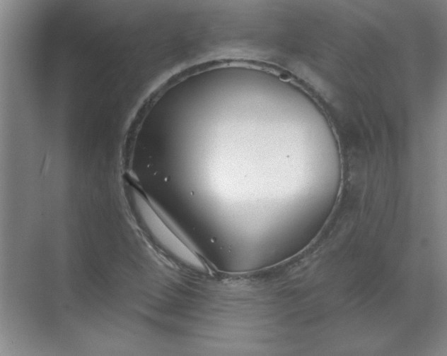 X0000071391264200607071859