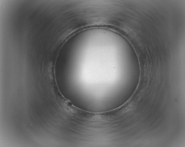 X0000071391265200607071859