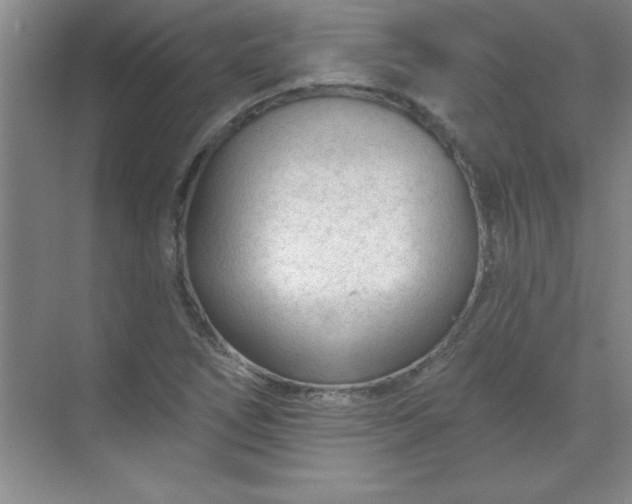 X0000071391266200607071859