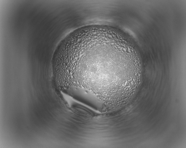 X0000071391267200607071859