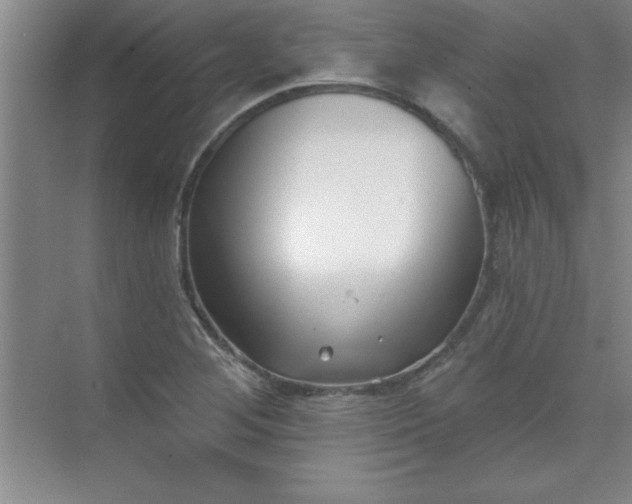 X0000071391268200607071859