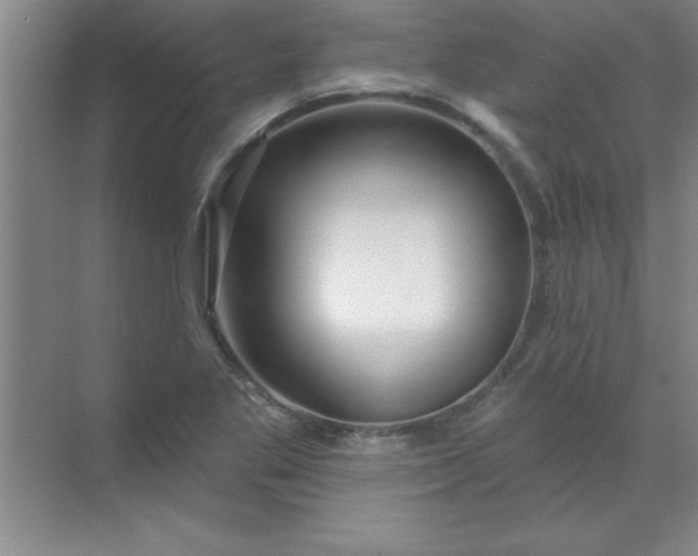 X0000071391269200607071859