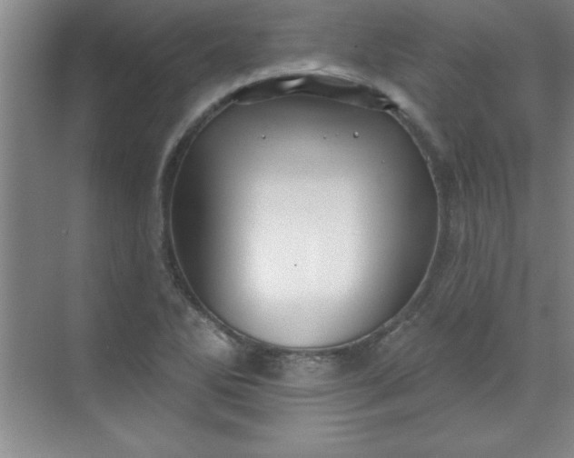 X0000071391270200607071859