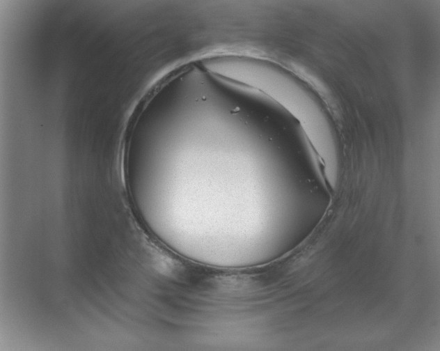 X0000071391272200607071859