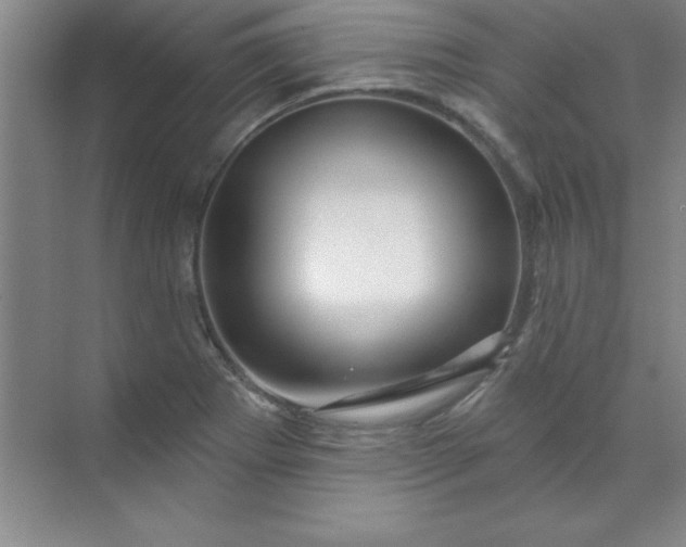 X0000071391273200607071859