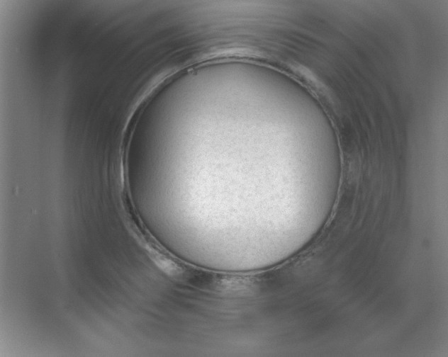 X0000071391274200607071859