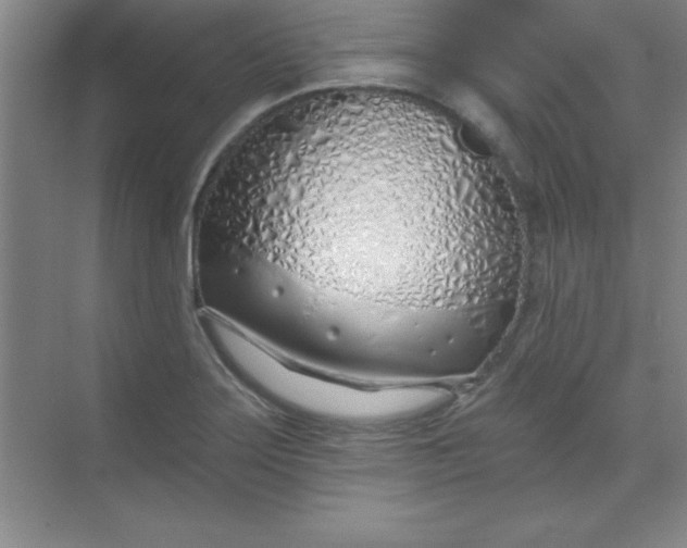 X0000071391275200607071859