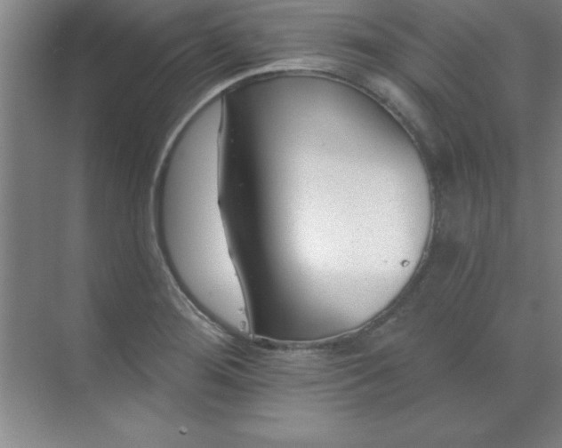 X0000071391276200607071859