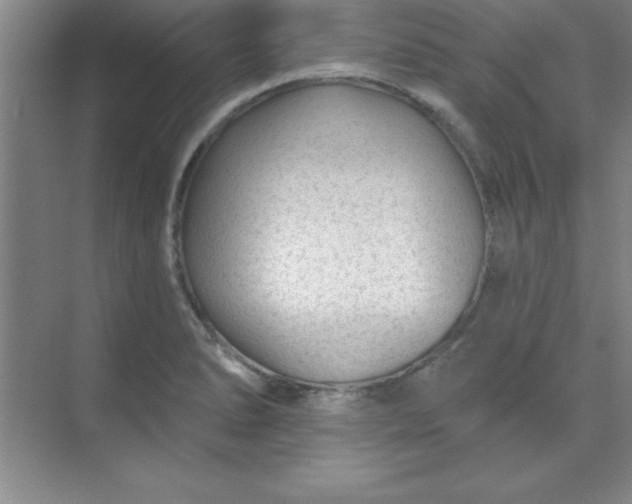 X0000071391278200607071858