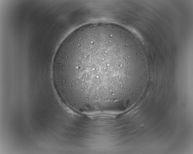 X0000071391279200607071858