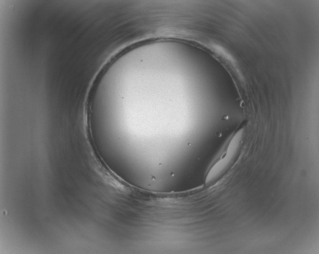 X0000071391280200607071858