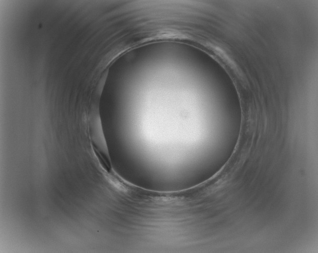 X0000071391281200607071858