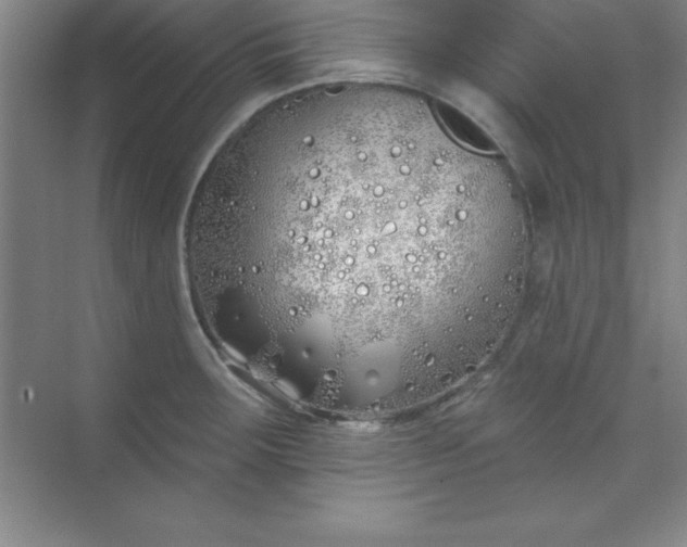 X0000071391283200607071858