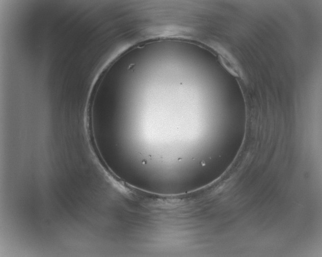 X0000071391285200607071858