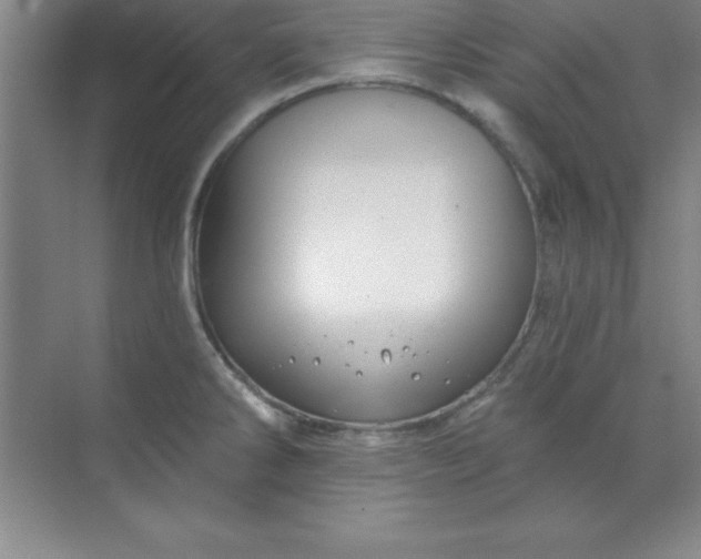 X0000071391286200607071858