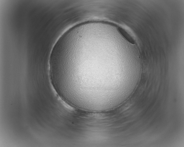 X0000071391287200607071858