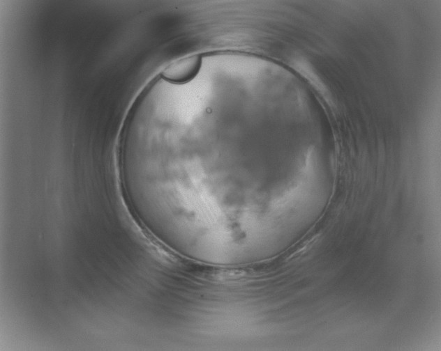 X0000071391291200607071858