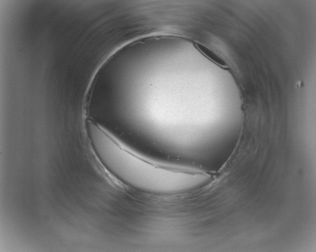 X0000071391292200607071858