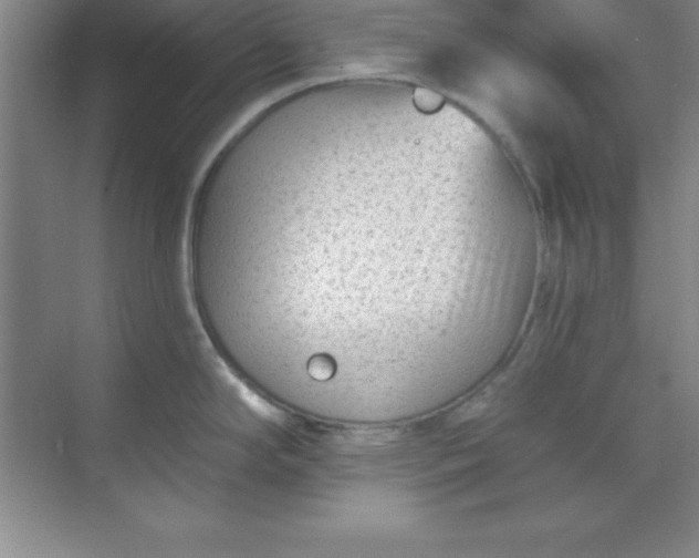 X0000071391294200607071858