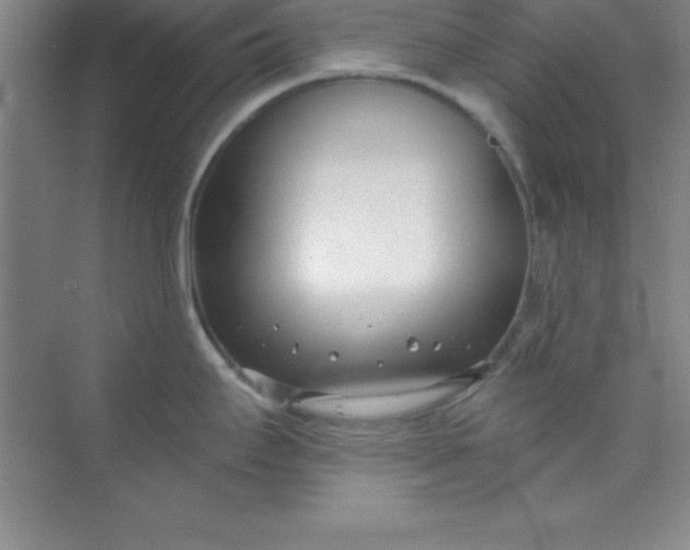 X0000071391295200607071858