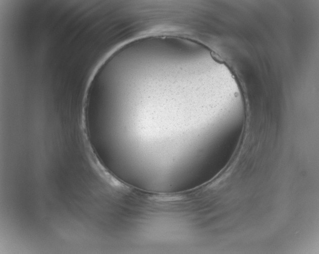 X0000071391296200607071858