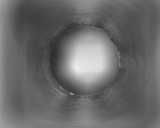 X0000071391297200607071857