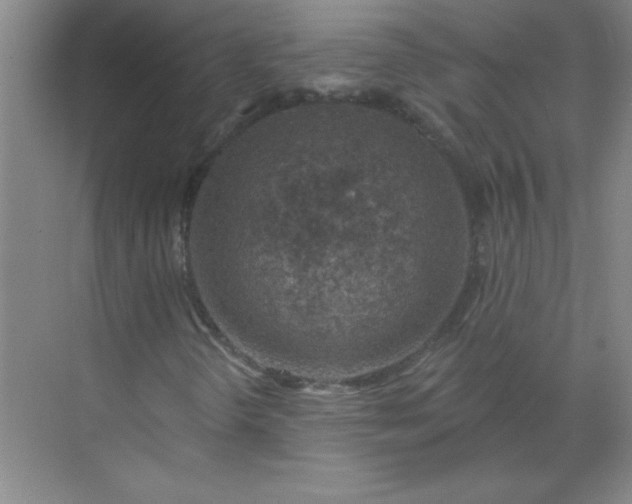 X0000071391298200607071857