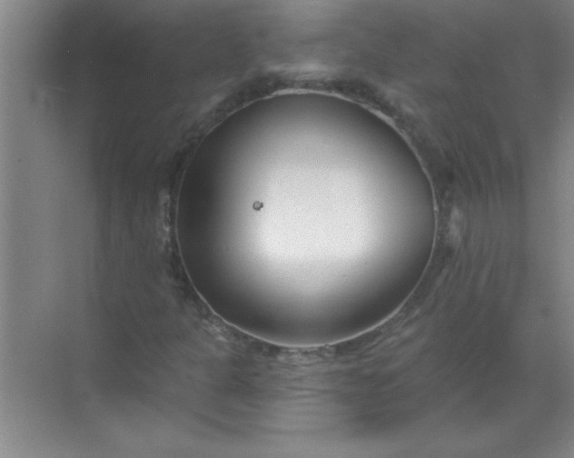 X0000071391301200607071857