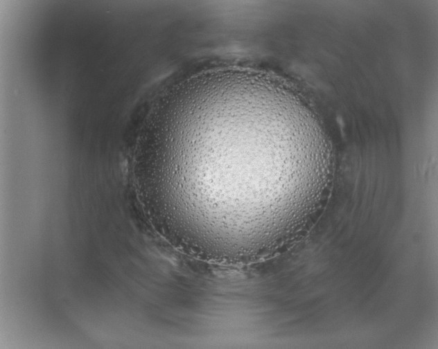 X0000071391302200607071857