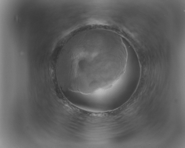 X0000071391303200607071857