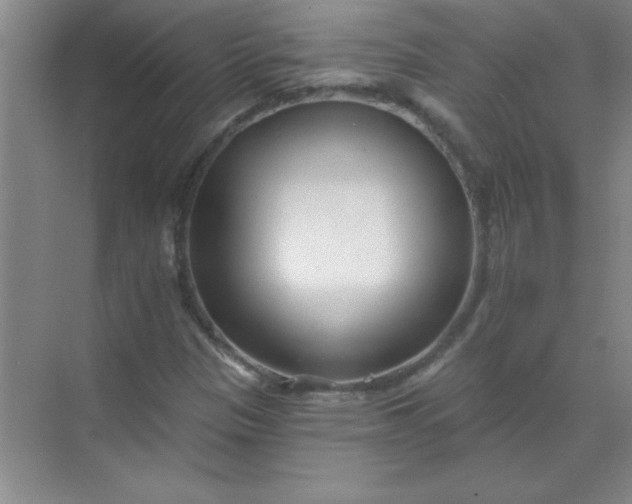 X0000071391305200607071858