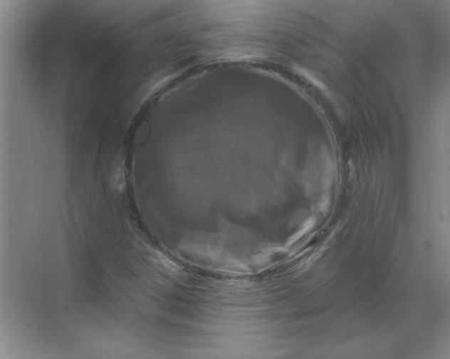 X0000071391306200607071858