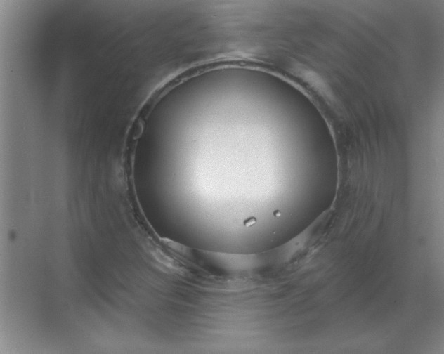 X0000071391308200607071858