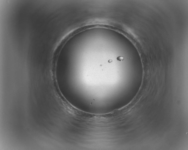 X0000071391312200607071858