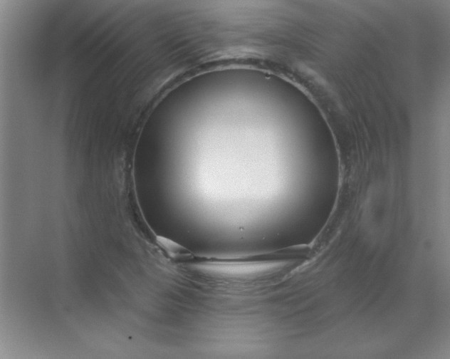 X0000071391313200607071858