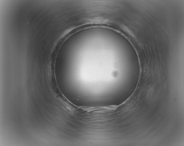 X0000071391315200607071858