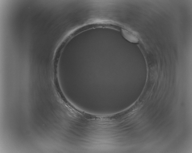 X0000071391319200607071858