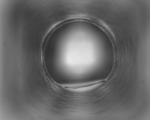 X0000071391320200607071858