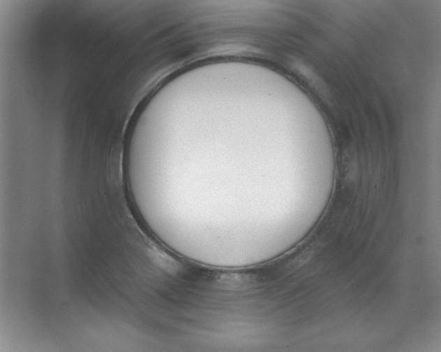 X0000071391322200607071858