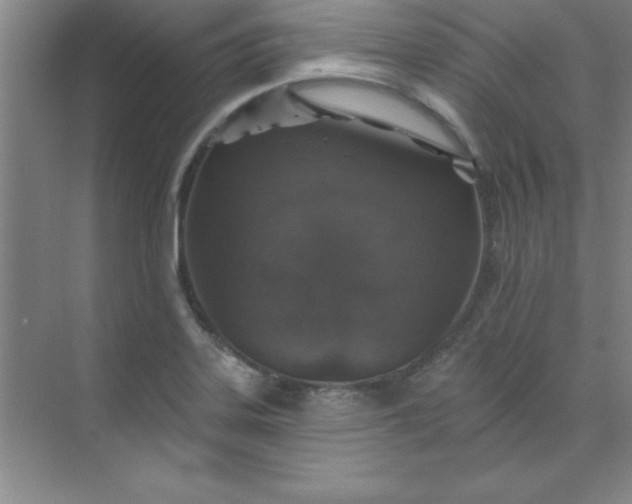 X0000071391323200607071858