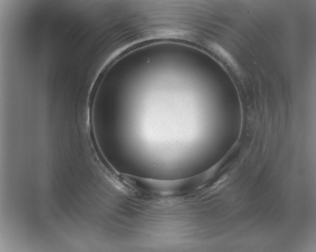 X0000071391324200607071858