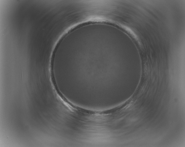 X0000071391327200607071858