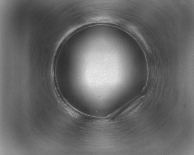 X0000071391328200607071858