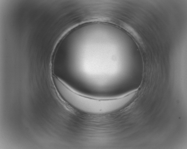 X0000071391332200607071858