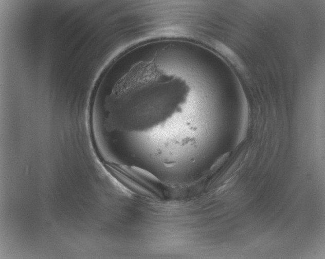 X0000071391334200607071858