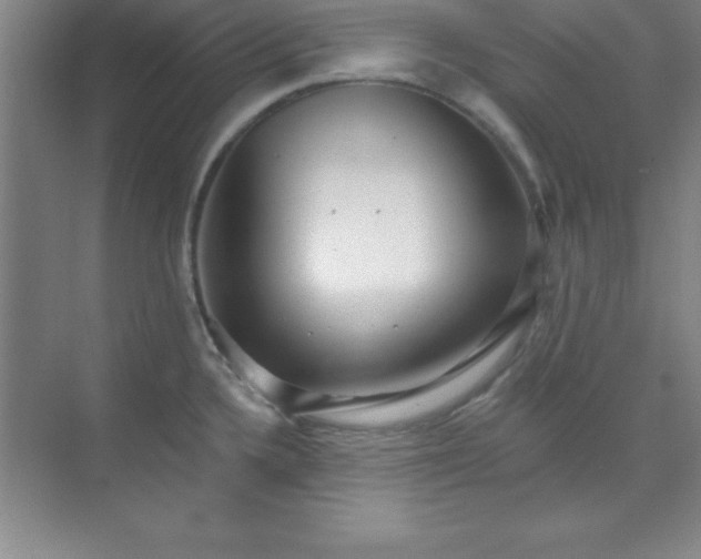 X0000071391336200607071858