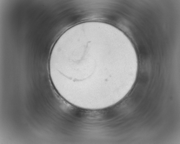 X0000071391338200607071858