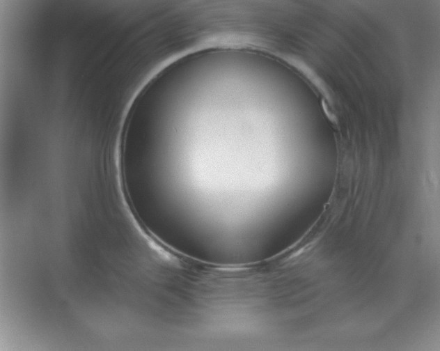 X0000071391343200607071858